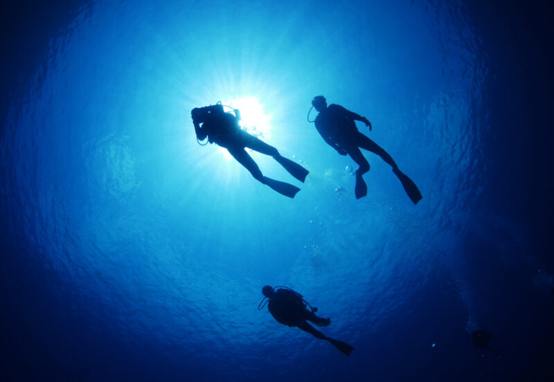 パラセーリング、ダイビング