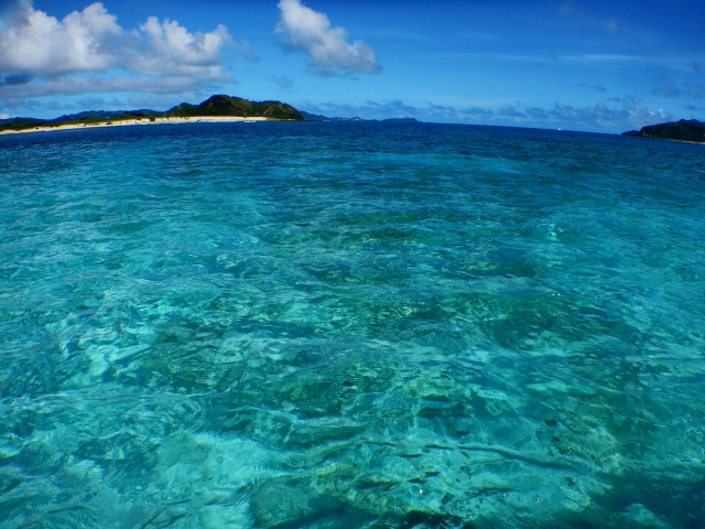 沖縄　慶良間諸島　パラセーリング